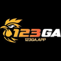 123gaapp1