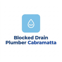 Blocked Drain Plumber Carramar