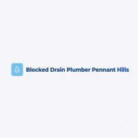 Blocked Drain Plumber Thornleigh