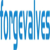 China Forged Valves Co., Ltd.
