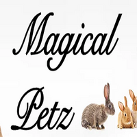 Magical Petz