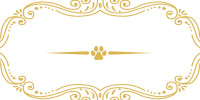 Mini Goldendoodles of Cape Cod LLC