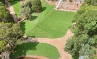 Musturf. The Lawn & Turf Company