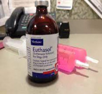 Buy Nembutal Pentobarbital Sodium