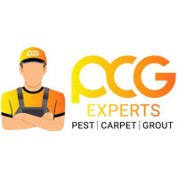 PCG Experts