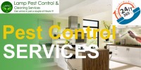 pest control company Dubai