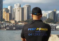 Pest Power Sydney | Pest Control Sydney