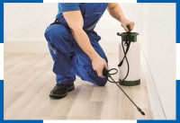 Happy Pest Control Brisbane
