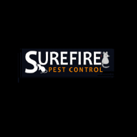 Sure Fire Rodent Control Brisbane