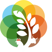 Top DDGS Suppliers in Sri Lanka | Premium Quality by Prorich Agro