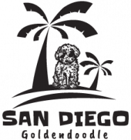 San Diego Goldendoodles