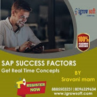 Best SAP SuccessFactors Training in Hyderabad | Igrowsoft