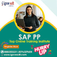 Best SAP PP Training Institute in Ameerpet | Igrowsoft