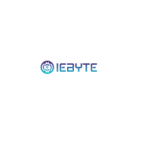 IEByte