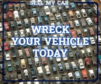 Kangaroo Cash For Car Removals