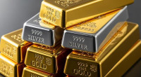 SA Gold Digger