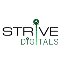 Grow Your Business Online with Strive Digitals – SEO, Ads & Website Experts