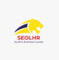 SEOLHR - Offshore SEO Service