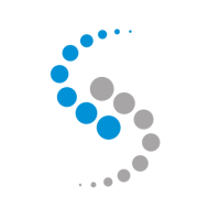 Synapse IT Consultants