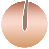 The Australian Dermal & Laser Institute