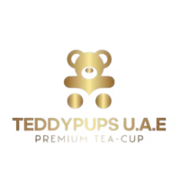 Teddy Pupss