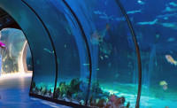 National Aquarium Abu Dhabi Tickets