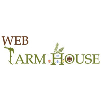 Web designer in Jodhpur
