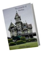 Discover the World of The Wizards of Dunley